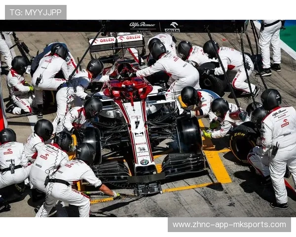 阿尔法·罗密欧全新车队计划揭秘，阿尔法·罗密欧这种车